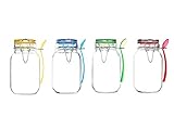 Kinetic GoGreen Glassworks 56017-J 4 Piece Round Glass Mini Jar Set with Spoon, Clear