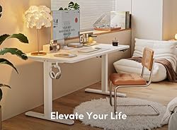 FEZIBO Height Adjustable Electric Standing Desk, 48