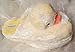 Bath & Body Works Duckie Duck Slippers Small / Medium