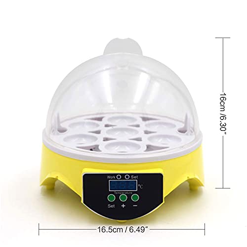 Nienyu Mini-Ei-Inkubator, 7-Loch-Micro-Inkubator mit Temperaturfeuchtigkeitssteuerung, tragbarer Zuhause-Inkubator für… – Bild 3