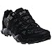 adidas outdoor Men's Ax2 Hiking Shoe