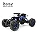 Boley 2099 - Radio Remote Control Monster Truck, 4-Wheel Drive, All-Terrain Climber - Action-Packed RC Car Toy for Boys and Girls - Durable, Easy to Control - Perfect for Gifts and Party Favors!