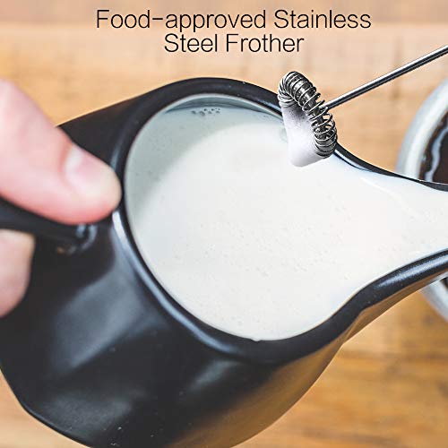 Techo Milk Frother Stainless Steel Electric Handheld Wand with Stand and Brush (frother)