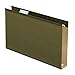 Pendaflex Extra Capacity Reinforced Hanging File Folders, 2