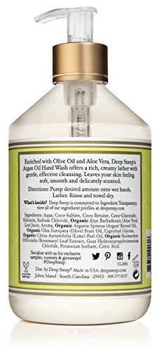 Deep Steep Argan Oil Liquid Hand Wash, Coconut Lime, 17.6 Fluid Ounce
