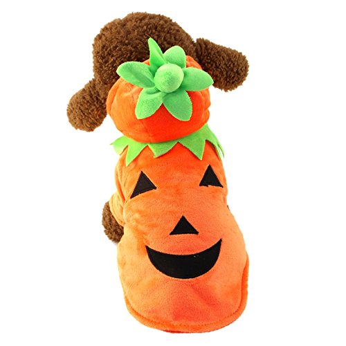 Best Westie Terrier Dog Halloween Costumes 2020 Kims Home Ideas