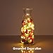 LightsEtc 100 Led Fairy String Lights Battery Operated 33ft Copper Wire Warm White Christmas Lights Copper Wire Christmas Lights Christmas Decor Warm White