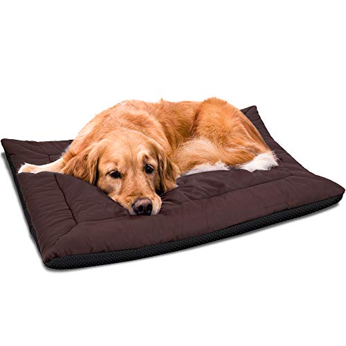 self warming dog mat