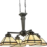 Progress Lighting P4102-46 4-Light Arts and Crafts Chandelier, Weathered Bronze
