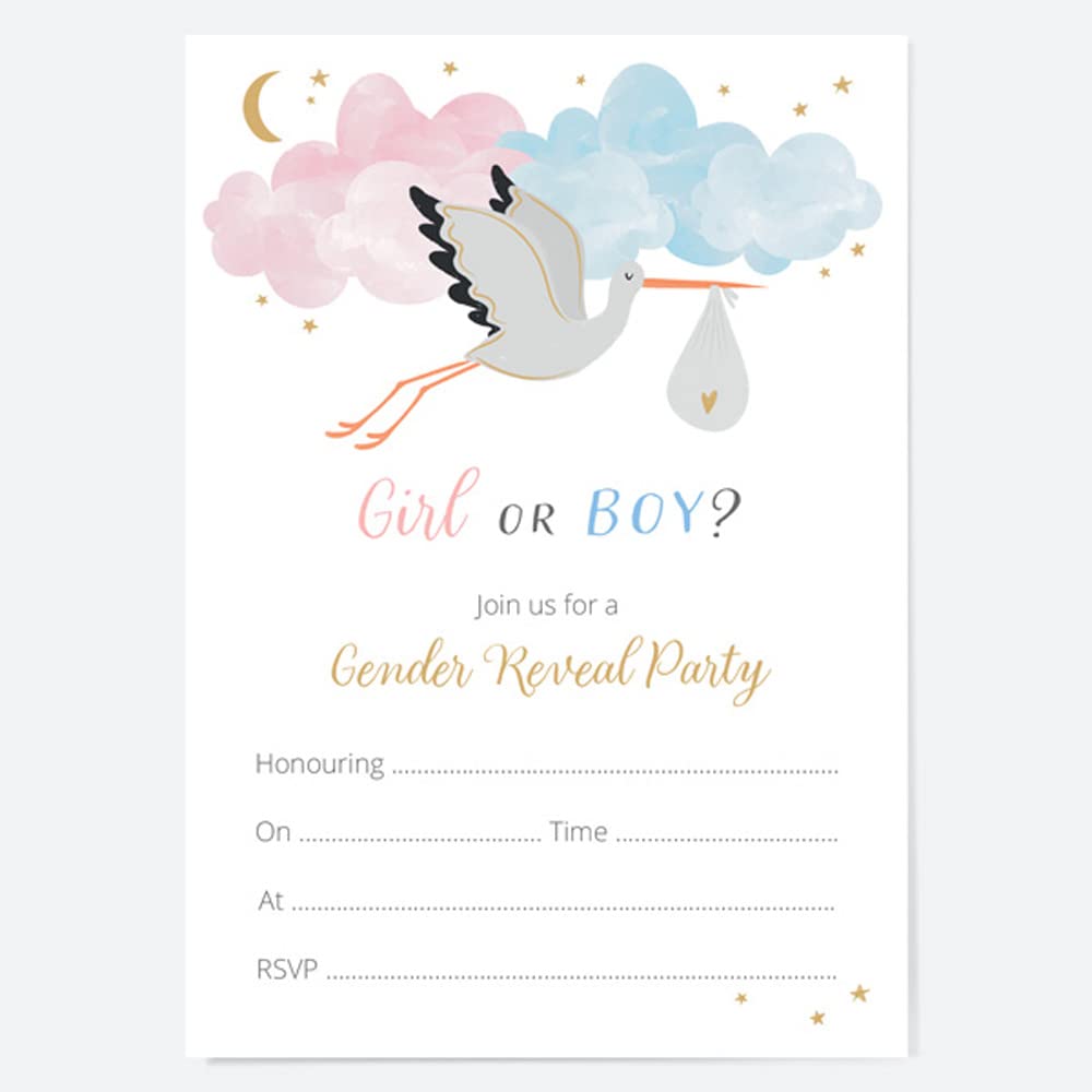Dotty about Paper Gender Reveal Party Invitations - Cloud & Stork - Pack of 10. Boy or Girl, Love, Family, Celebration, Surprise, Baby Shower, Baby, Party. Envelopes Included (4084)