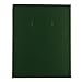 Blueline NotePro Composition Notebook, Green, 9.25 x 7.25 inches, 192 Ruled Pages (A9C.84)