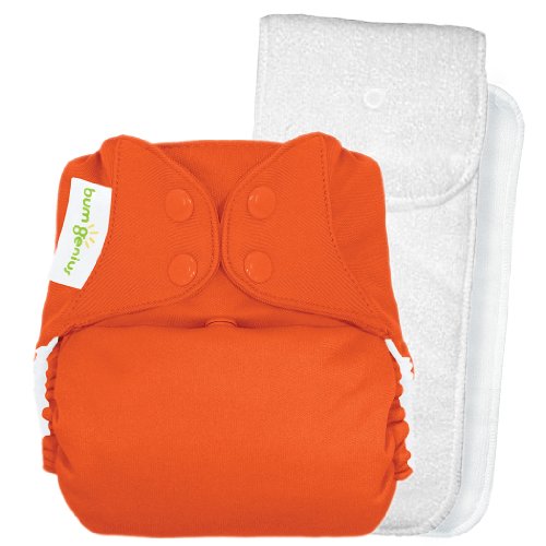 BumGenius 4.0 Pocket Cloth Diaper - Snap - Sassy - One Size