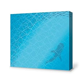 Canvas Wall Art A School of Fish Pictures Home Wall Decorations for Bedroom Living Room Paintings Canvas Prints Framed - 12x12 inches