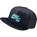NIKE Mens SB Icon Pro Snapback Hat