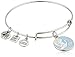 Alex and Ani Charity By Design Special Delivery Blue Rafaelian Silver Bangle Bracelet