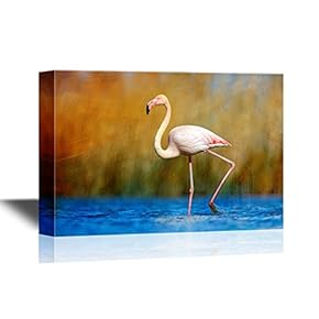 Wild Animal Canvas Wall Art - Greater Flamingo, Phoenicopterus Ruber, Pink Big Beautiful Bird in Dark Blue Water - Gallery Wrap Modern Home Art | Ready to Hang - 12x18 inches