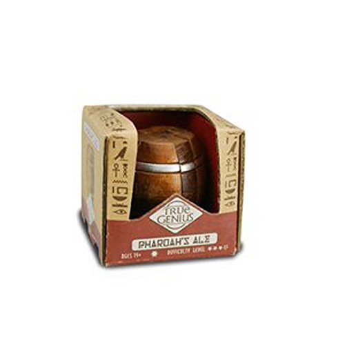 Project GeniusTG005 Brain Teaser Puzzle, Wooden