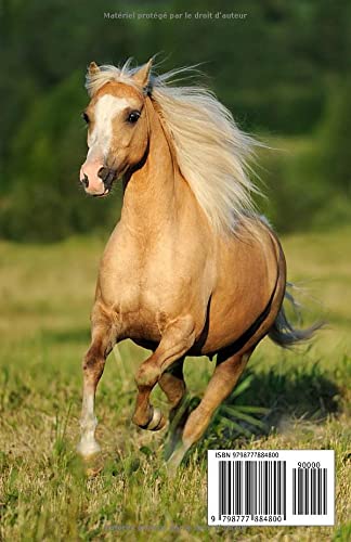 Calendrier Cheval 2023 Agenda 2022-2023: Calendrier A5 Semainier Une Semaine Sur Deux Pages -Cheval  I Annuel Français Format , Avec Horaire I18 Mois ,Professionnel De Bureau  22/23 Quotidien , Et Mensuel , Journalier: Jade-Al-Edition.calend:  9798777884800: