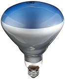 GE Lighting 21000 120-Watt Incandescent Plant Lighting Bulb, R40 Style (5