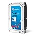 (Old Model) Seagate 4TB Gaming SSHD(Solid State Hybrid Drive) SATA 6Gb/s 64MB Cache 3.5-Inch Internal Bare Drive (ST4000DX001)