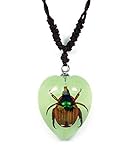 Heart Shaped Glow In The Dark Necklace w/ REAL