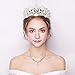 ANBALA Bridal Queen Tiara Crown, Luxury Bling Crystal Bridal Headband Prom Queen Pageant Princess Crown Hair Accessories for Women, Silver