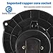 AUTEX Front HVAC Blower Motor Assembly Heater Blower Motor with Fan Cage 700012