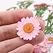 JETEHO 35 PCS Mixed Multiple Pressed Flowers Real Pressed Dried Flowers Natural Dried Flowers DIY Resin Jewelry Art Floral Decors
