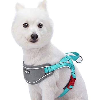 Blueberry Pet 8 Colors Soft & Comfy 3M Reflective Strips Padded Dog Harness Vest, Chest Girth 20.5