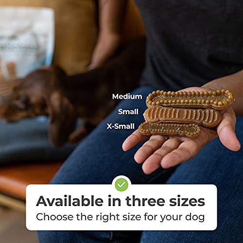 Alpha Paw High Protein Teeth Brushing Doggy Dental Chews Removes