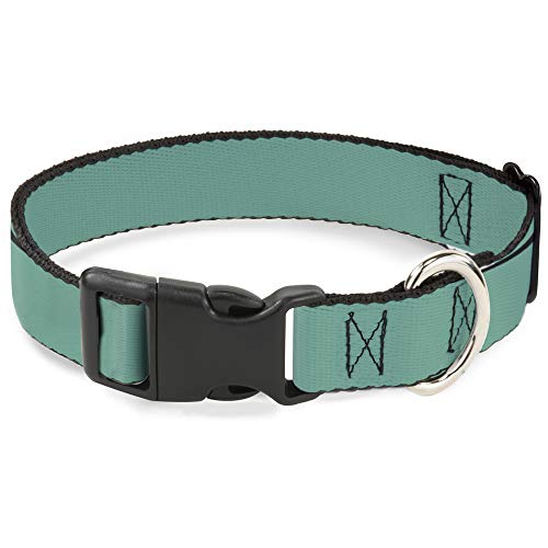 Buckle-Down Plastic Clip Collar - Teal - 1/2" Wide - Fits 8-12" Neck - Medium