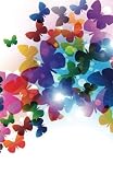 Internet Password Organizer: Butterflies (Discreet Password Journal)