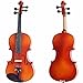 Cecilio 1/4 CVN-300 Ebony Fitted Solid Wood Violin