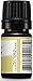 Plant Therapy Jasmine Absolute Essential Oil 100% Pure, Undiluted, Natural Aromatherapy, Therapeutic Grade 5 mL (1/6 oz)