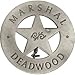 1 X Badges of the Old West 3007 Marshal Deadwood Badge