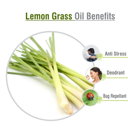 LEMON GRASS OIL 100% NATURAL PURE UNDILUTED UNCUT ESSENTIAL OIL 100ML