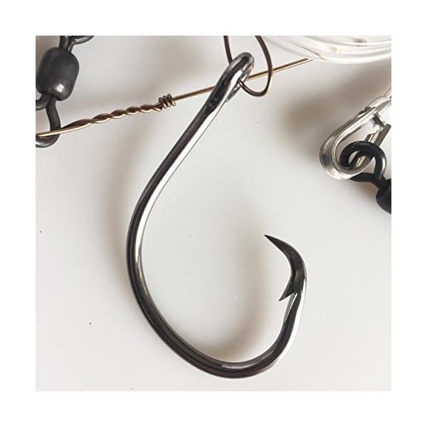 BlacktipH-Shark-Rig-Tackle-Crafters