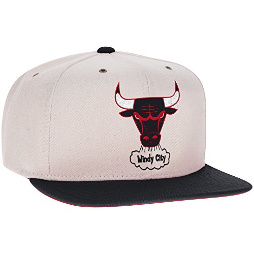 NBA Chicago Bulls Men's Hardwood Classic Puddy Snapback Cap, One Size, White/Purple