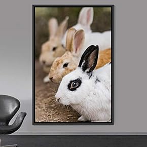 signwin Framed Canvas Wall Art Bunny Animals Bedroom...