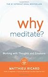 Why Meditate: Working with Thoughts and Emotions, Matthieu Ricard, 1401926630