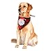 PAWCHIE 2 PCS Christmas Dog Bandanas with Handmade Applique (Santa Claus & Elk), Washable Plaid Triangle Bibs Scarfs for Puppy
