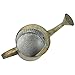 Watering Can - Rustic Iron Galvanized Water Jug with Handle, Antique Style for Home and Garden, 14.75 x 8.25 x 6.25 Inches