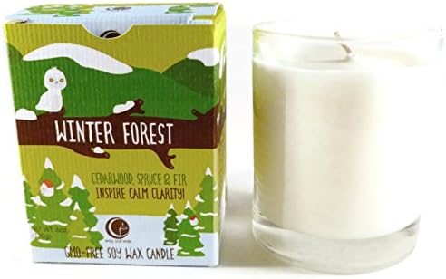 Vermont Soy Way Out Wax Candle~Winter Forest (Holiday)~Clear Glass Tumbler~6 oz