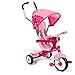 4-in-1 Stroll 'N Trike
