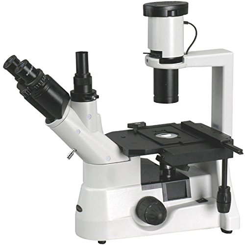 AmScope IN300TB Tissue Culture Microscope