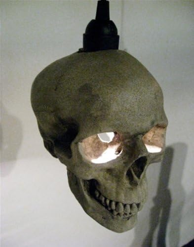 Skull 1 Light Mini Pendant