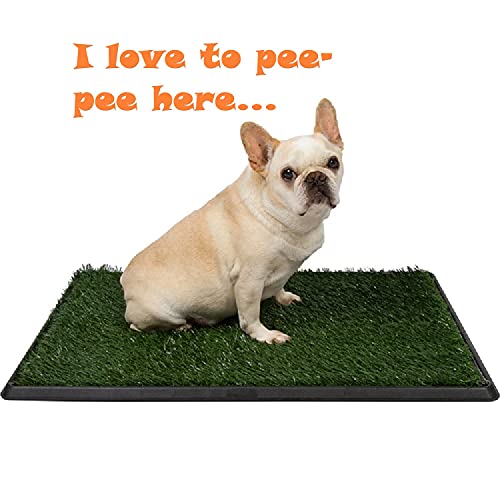 Companion Paw 30x20 inches Puppy Potty Training Tray with Two