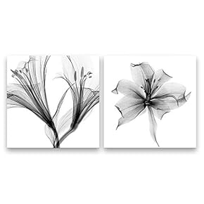 2 Panel Canvas Wall Art Canvas Lily Flower Black Prints Painting Wall Decor for Living Room Wooden Framed Home Decorations - 12"x12" x 2 Panels