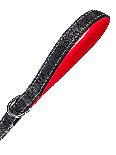 Primal Pet Gear Dog Leash - Extra Heavy Duty - Thick 3mm Nylon - 6ft Long - Premium Quality - 1" Wide - Reflective - Padded Handle - Perfect for Large - Medium or Strong Small Dogs - Lightweight