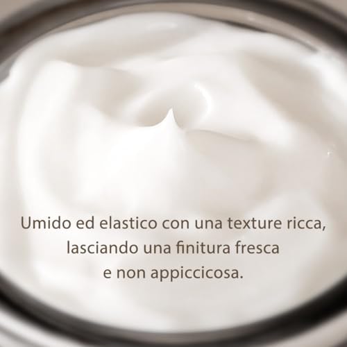 [Mizon] Crema alla Bava di Lumaca Nera (75ml) Crema Premium; Trattamento anti-invecchiamento; Cosmetico coreano con estratti di piante e mucina di lumaca nera (All in One Black Snail Cream)